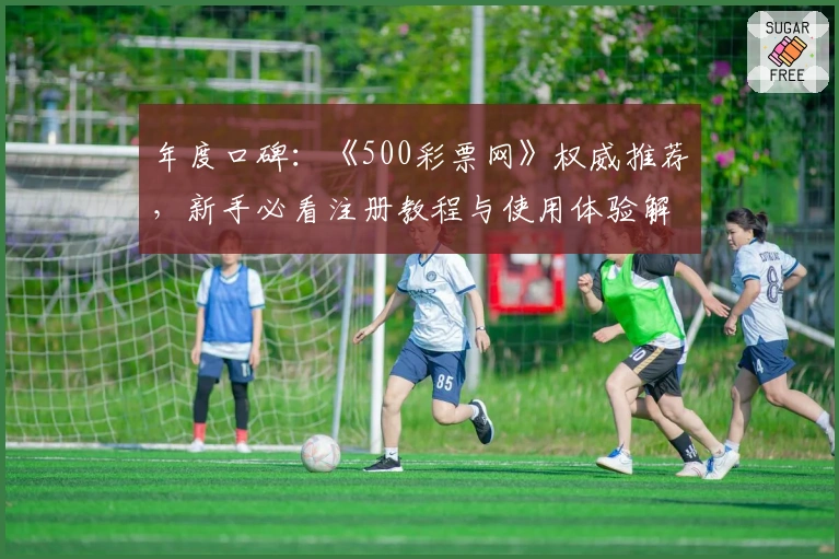 年度口碑：《500彩票网》权威推荐，新手必看注册教程与使用体验解析