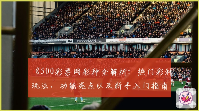 《500彩票网彩种全解析：热门彩种玩法、功能亮点以及新手入门指南》