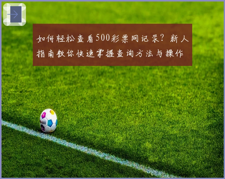 如何轻松查看500彩票网记录？新人指南教你快速掌握查询方法与操作技巧