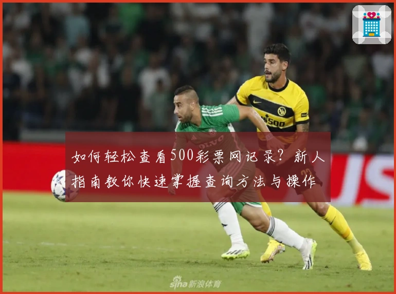 如何轻松查看500彩票网记录？新人指南教你快速掌握查询方法与操作技巧