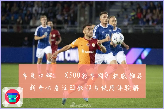 年度口碑：《500彩票网》权威推荐，新手必看注册教程与使用体验解析